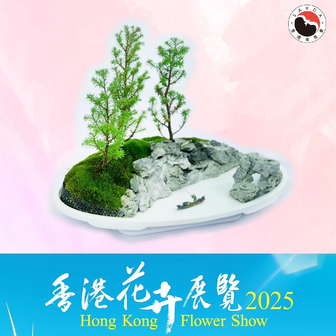 IG相片1