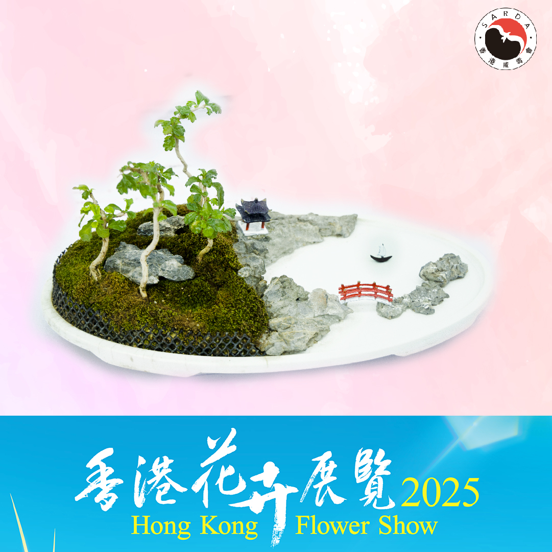 IG相片2