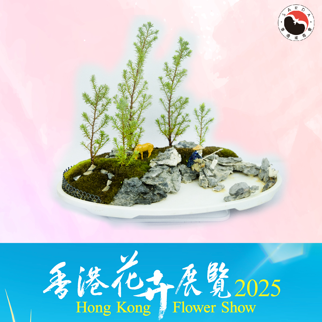 IG相片3